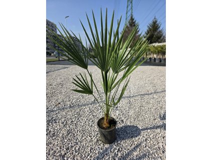 ea7bb11f 89de 4f21 b788 61617a89b205