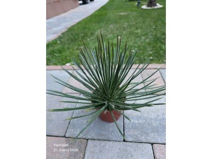 afd77585 5f46 4028 9ec9 dbd5e2fe834a