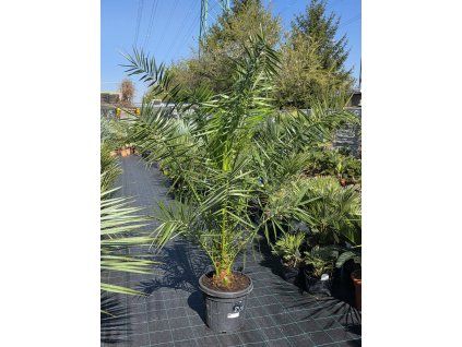 6c93c5cb a465 463e 9d2f d995ff37b65a