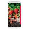 florcom-substrat-pre-jahody-50-l