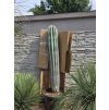 Pachycereus pringlei 2