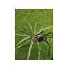 yucca-filamentosa--bright-edge--35-cm-1