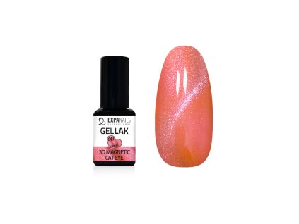 %7B05791AC3 0457 4E83 A4AC 8AFF45B4B4AD%7D V