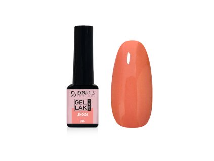 %7B062666F8 8472 4DE3 A67C 72860302973B%7D V