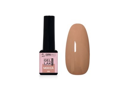 %7B1AD9CD7C 20F5 409E AAFD 1BE4CCD81E8B%7D V