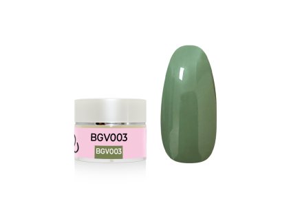 %7B2E2B2ED2 366A 4E34 8F2E 3C2BF07BE7E6%7D V