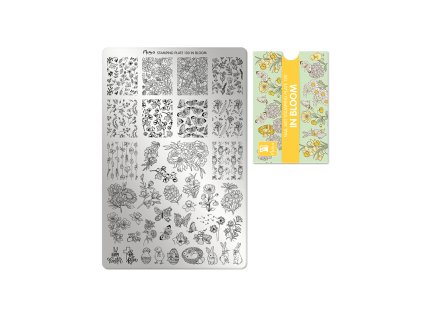 %7B2FB57402 2761 4DB6 969D 24821140BD8F%7D V