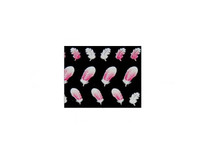 %7B513E09D3 E49A 465A BDF9 D2383F8511BC%7D V