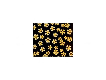 %7B606AF852 57F1 4343 A66E 682D2155FE00%7D V