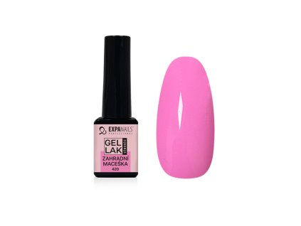 %7B66A3838B E8BC 4FAD A7BE 50BAA938D934%7D V