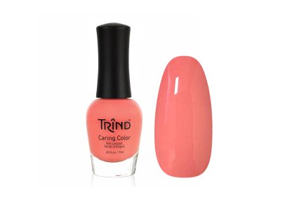 %7B695921C9 B89A 43A5 8CA2 5E4DE8A1B13E%7D V