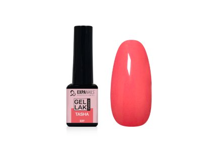 %7B6C7F2A85 D0E2 49CC 98B2 57C0860FF9EB%7D V