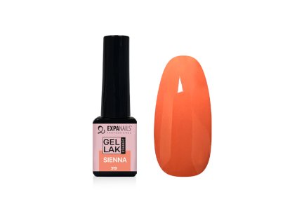 %7B75F9E557 0725 4542 85D8 4A41B2BF0901%7D V