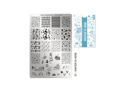 %7B779A5A89 B483 443F BB12 93DD879FEA02%7D V