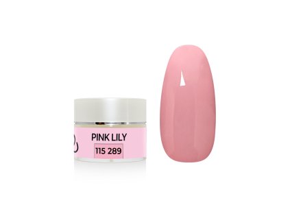 %7B789C4FA8 96FF 4417 BD80 0EB45FD2AFB9%7D V