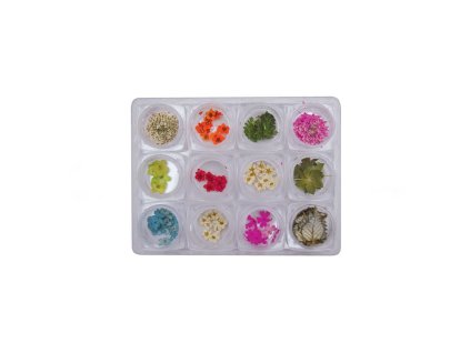 %7B78D53231 D136 4B36 AF66 0DE22E297B67%7D V