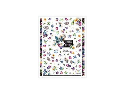 %7B9DD3241D 6717 4896 8ED2 4A7E006AA3C5%7D V