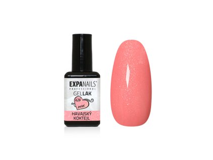 %7BA70A4321 2449 45B6 9B21 2FA0F96C1828%7D V