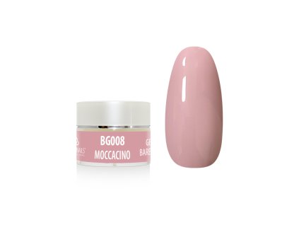 %7BA8BDA1F8 F5C1 4A6B 85B6 1266505A221F%7D V