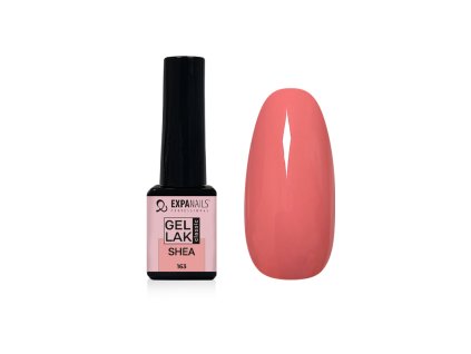 %7BC3BEBE9E BCB4 4FD0 AFA0 6679A4356E5B%7D V