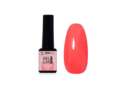 %7BC51C4CFE 2AEB 42C8 BC56 11FA261A4402%7D V