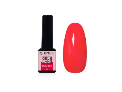 %7BD1564CC6 6D6D 4D98 90B1 E4D71BDA8A07%7D V