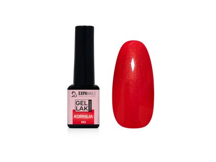 %7BDC0D11F2 62BC 4540 A170 F0040A56F45D%7D V