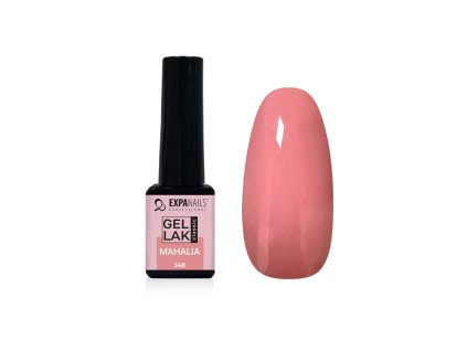 %7BE2C8E713 226E 4F51 AEE6 15736A8A66C3%7D V