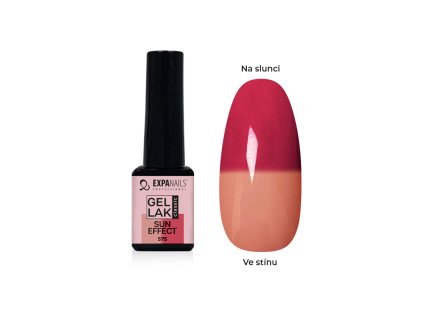 %7BE8F6D707 1C42 447B 8884 2B01AAC513CA%7D V