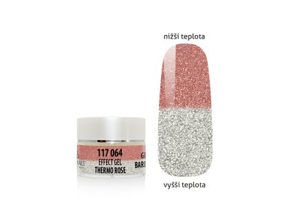 %7BEDB42967 00E6 423A B2AF 7747C98708C0%7D V