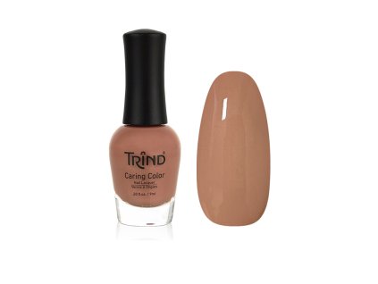 %7BEE18C4C5 331A 45B4 8AA1 21A4703CA8E1%7D V