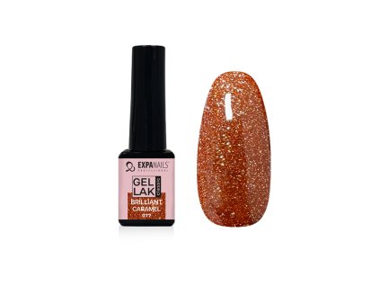 %7BEE8B9372 DC80 40FD A363 963461A40A5A%7D V