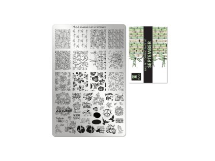 %7B9EB5CB6A A762 4CF1 A300 7A405D29E5A0%7D V