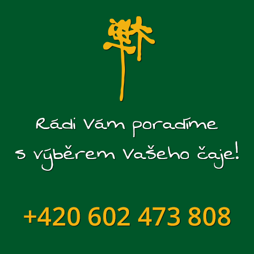 Rádi Vám poradíme s výběrem čaje