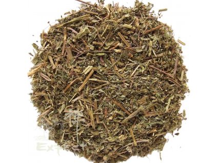 Chanca Piedra /Phylantus niruri L.