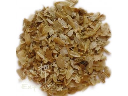 Šištice chmele