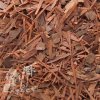 Lapacho /Tabebuiae cor­tex/Pau d'arco bark cut 50g
