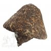 Čaj Pu Erh Mushroom Jin Cha zelený typ 2006_280g