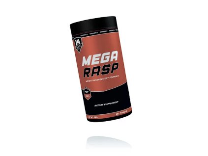 1 MEGA RASP Superior14 Website