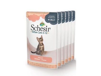 Schesir Cat kapsa Kitten kuře 6x85g