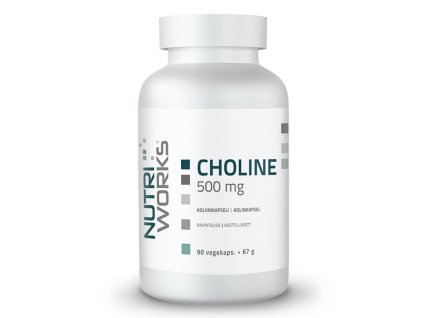 NutriWorks Choline 500 mg 90 kapslí (Varianta Choline 500 mg 90 kapslí)