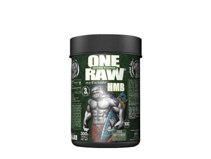 Zoomad Labs Raw One HMB 300 g (Příchuť Bez příchutě)