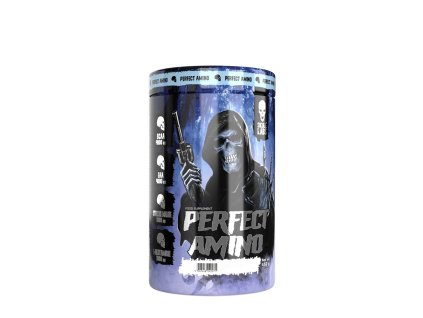 Skull Labs Perfect Amino 450 g
