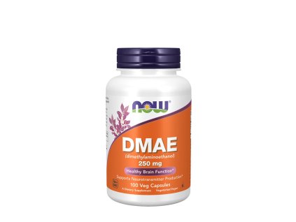Now Foods DMAE 250 mg 100 kapslí