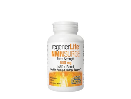 NATURAL FACTORS NMNSURGE 500 MG 30 VEGETARIAN CAPSULES