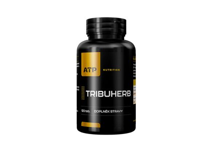 e9fcaad4 6f2e 4b20 b8ad eab04e2dbf68