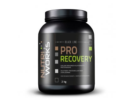 NutriWorks Pro Recovery 2000g