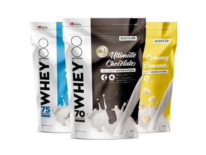 whey 100 1kg 3x 2019