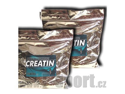 creatine sacek 600