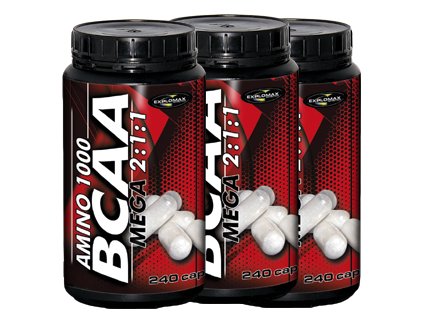 bcaa 240 1